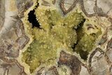 Yellow Crystal Filled Septarian Geode - Utah #157074-1